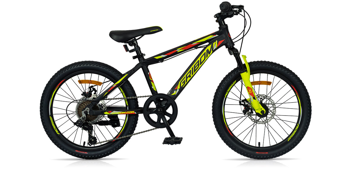 Sherwood Junior 2911V